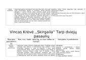 Vinco Krėvės knygos "Skirgaila" konspektas 3 puslapis