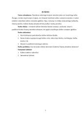 Specialybės kalbos vartojimo nenuoseklumai finansų tematikos tekstuose 2 puslapis