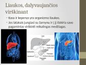 Kasa ir kepenys 2 puslapis