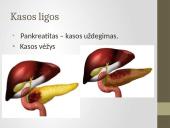 Kasa ir kepenys 12 puslapis