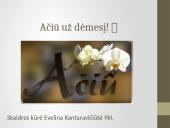 Kasa ir kepenys 14 puslapis