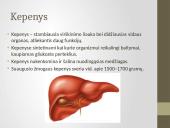 Kasa ir kepenys 3 puslapis