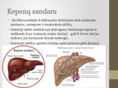 Kasa ir kepenys 4 puslapis