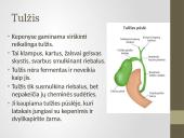 Kasa ir kepenys 5 puslapis