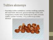 Kasa ir kepenys 6 puslapis