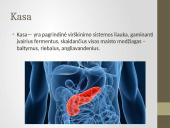 Kasa ir kepenys 8 puslapis