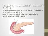 Kasa ir kepenys 9 puslapis