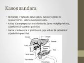 Kasa ir kepenys 10 puslapis