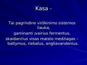 Kasa ir jos sandara 2 puslapis