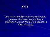 Kasa ir jos sandara 3 puslapis