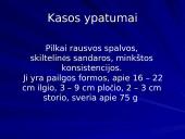 Kasa ir jos sandara 4 puslapis