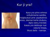 Kasa ir jos sandara 6 puslapis