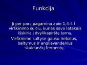 Kasa ir jos sandara 7 puslapis