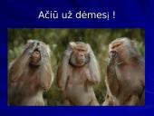 Kasa ir jos sandara 8 puslapis