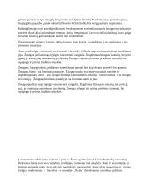 Žmogaus ir visuomenės santykis literatūroje 3 puslapis