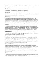 Civilinė teisė - paskaitų teorija egzaminui 19 puslapis