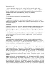 Civilinė teisė - paskaitų teorija egzaminui 20 puslapis