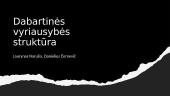 Dabartinės vyriausybės struktūra