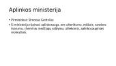Dabartinės vyriausybės struktūra 2 puslapis