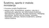 Dabartinės vyriausybės struktūra 11 puslapis