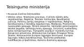 Dabartinės vyriausybės struktūra 12 puslapis