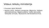 Dabartinės vyriausybės struktūra 14 puslapis