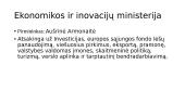 Dabartinės vyriausybės struktūra 3 puslapis