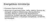 Dabartinės vyriausybės struktūra 4 puslapis