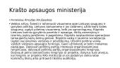 Dabartinės vyriausybės struktūra 6 puslapis