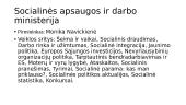 Dabartinės vyriausybės struktūra 8 puslapis