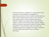 Renesansas XIV – XVI a. 16 puslapis