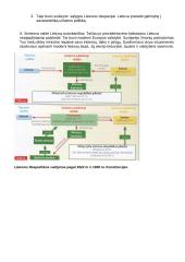 Lietuvos politinė, ekonominė ir socialinė raida autoritarinio valdymo metais 3 puslapis