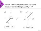 Posūkių kampai 5 puslapis