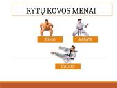 Rytų kovos menai  2 puslapis