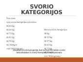 Rytų kovos menai  14 puslapis