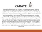 Rytų kovos menai  16 puslapis