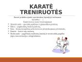 Rytų kovos menai  17 puslapis