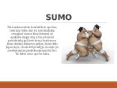 Rytų kovos menai  4 puslapis