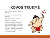 Rytų kovos menai  10 puslapis