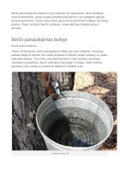 Beržo mediena ir sula 2 puslapis