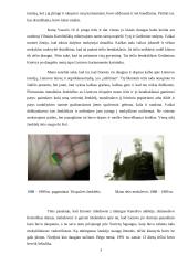 Tėčio sausio 13-oji 3 puslapis