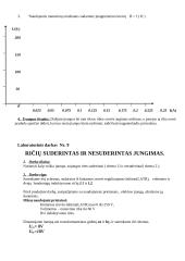 Magnetinių grandinių tyrimas 2 puslapis