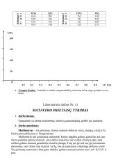 Magnetinių grandinių tyrimas 5 puslapis