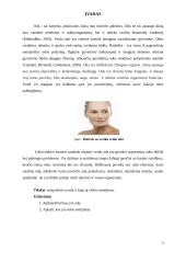 Veido oda ir jos senėjimas 3 puslapis