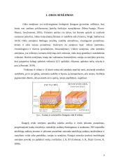 Veido oda ir jos senėjimas 4 puslapis