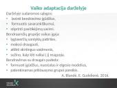 Vaikų adaptacija darželyje ir elgesio ydos 2 puslapis