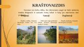 Viskas apie savaną 4 puslapis