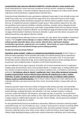 Antano Garšvos „veidai“ 2 puslapis