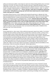 Antano Garšvos „veidai“ 3 puslapis