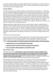 Antano Garšvos „veidai“ 4 puslapis